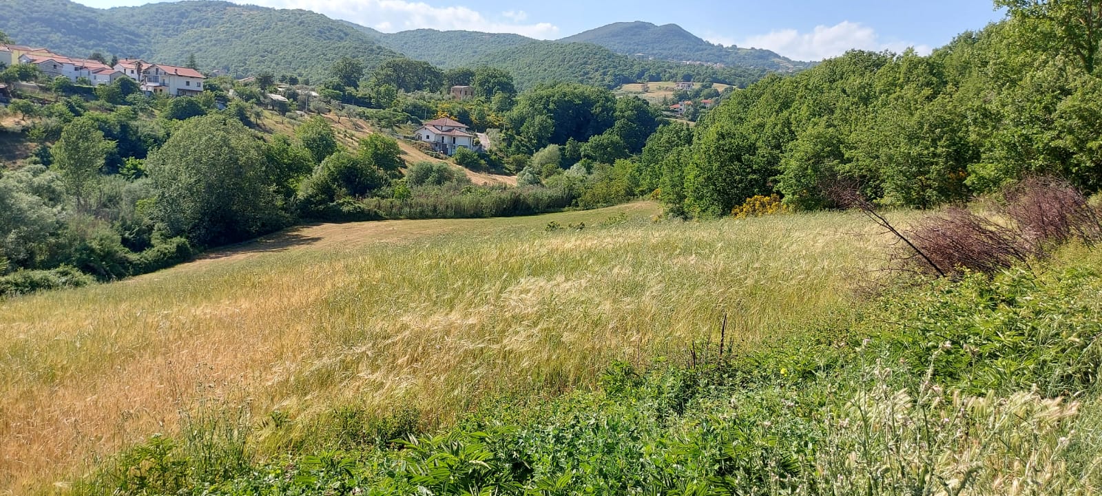 Terreni edificabili