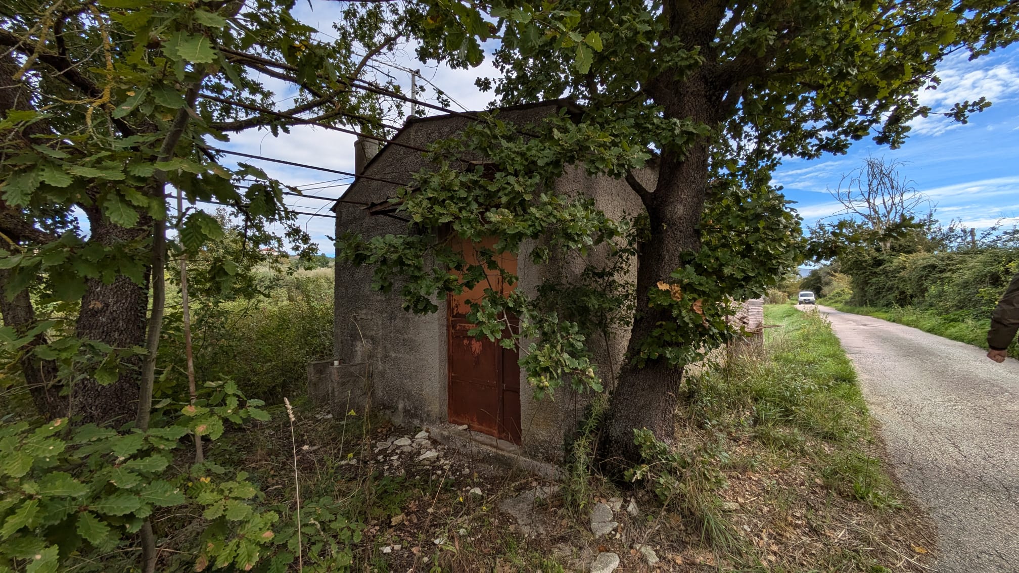 iserniaquatrellaterreno4jpg.jpg
