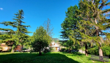 colle-verde03.jpg