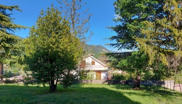 colle-verde04.jpg