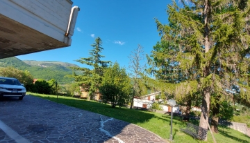 colle-verde06.jpg