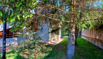 colle-verde15.jpg