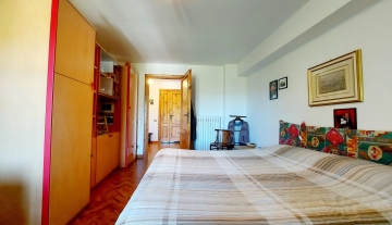 colle-verde47.jpg