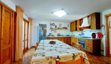 colle-verde49.jpg