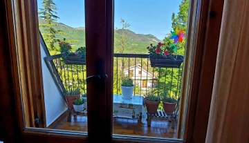 colle-verde50.jpg