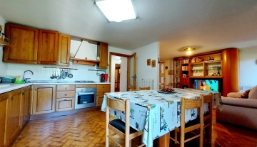 colle-verde51.jpg