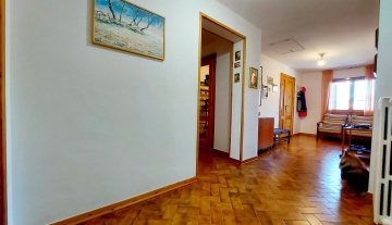colle-verde52.jpg