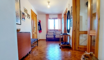 colle-verde54.jpg