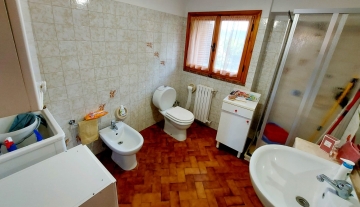 colle-verde56.jpg