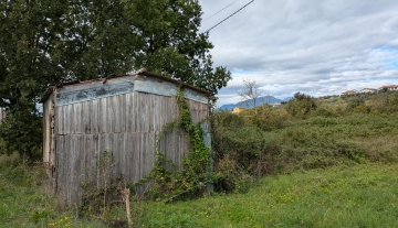 iserniaquatrellaterreno3jpg.jpg