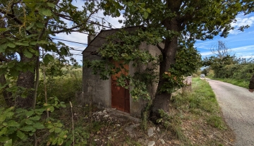 iserniaquatrellaterreno4jpg.jpg