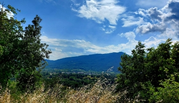sessano-molise-via-roma-03.jpg