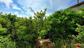 sessano-molise-via-roma-06.jpg