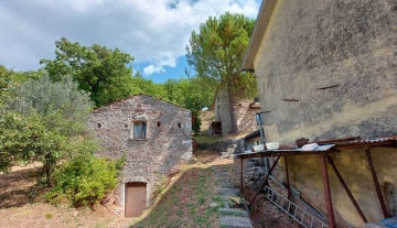 vallonidicollialvolturno15jpeg.jpeg