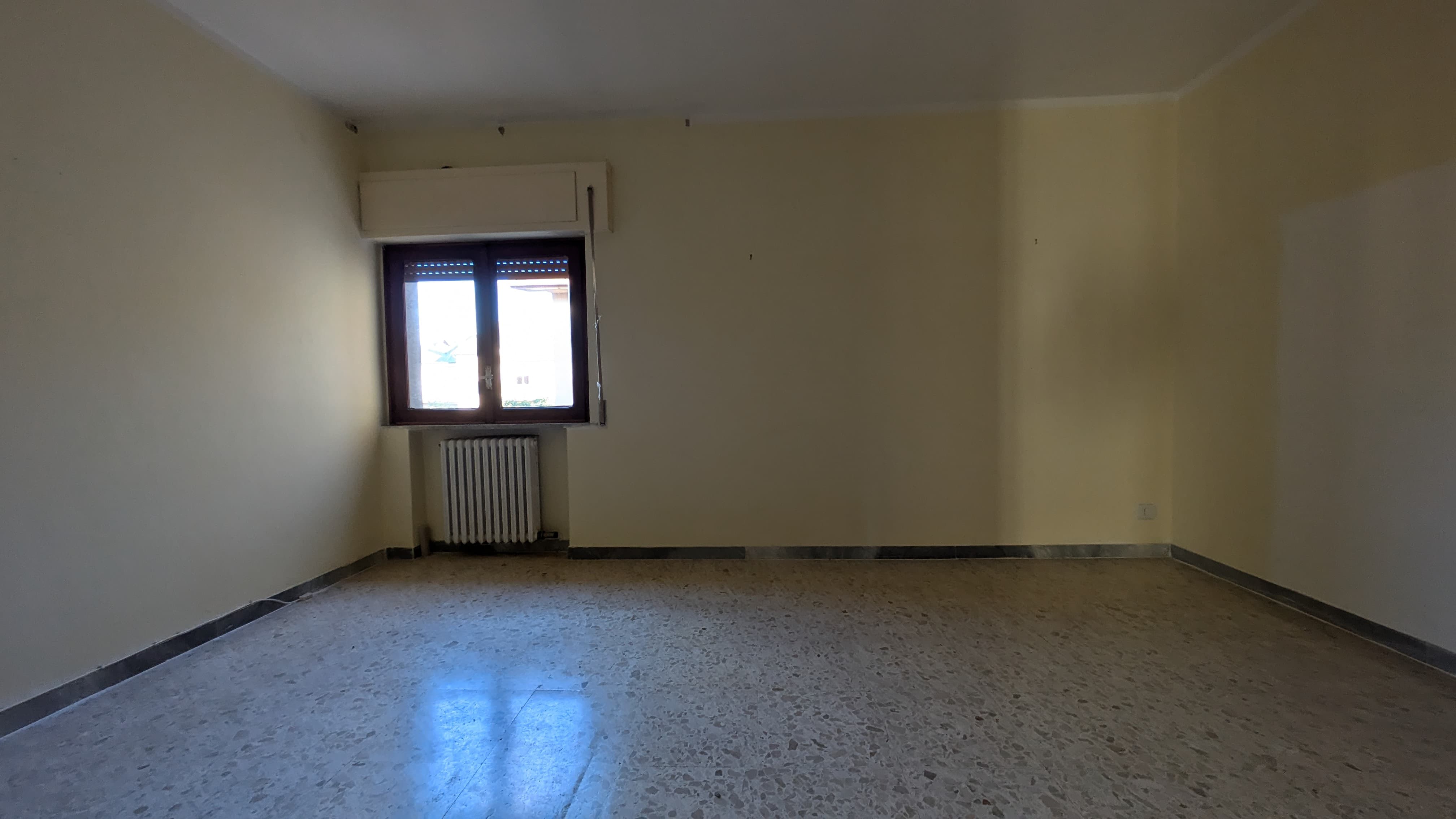viadalighieri12paino5grande12jpg.jpg