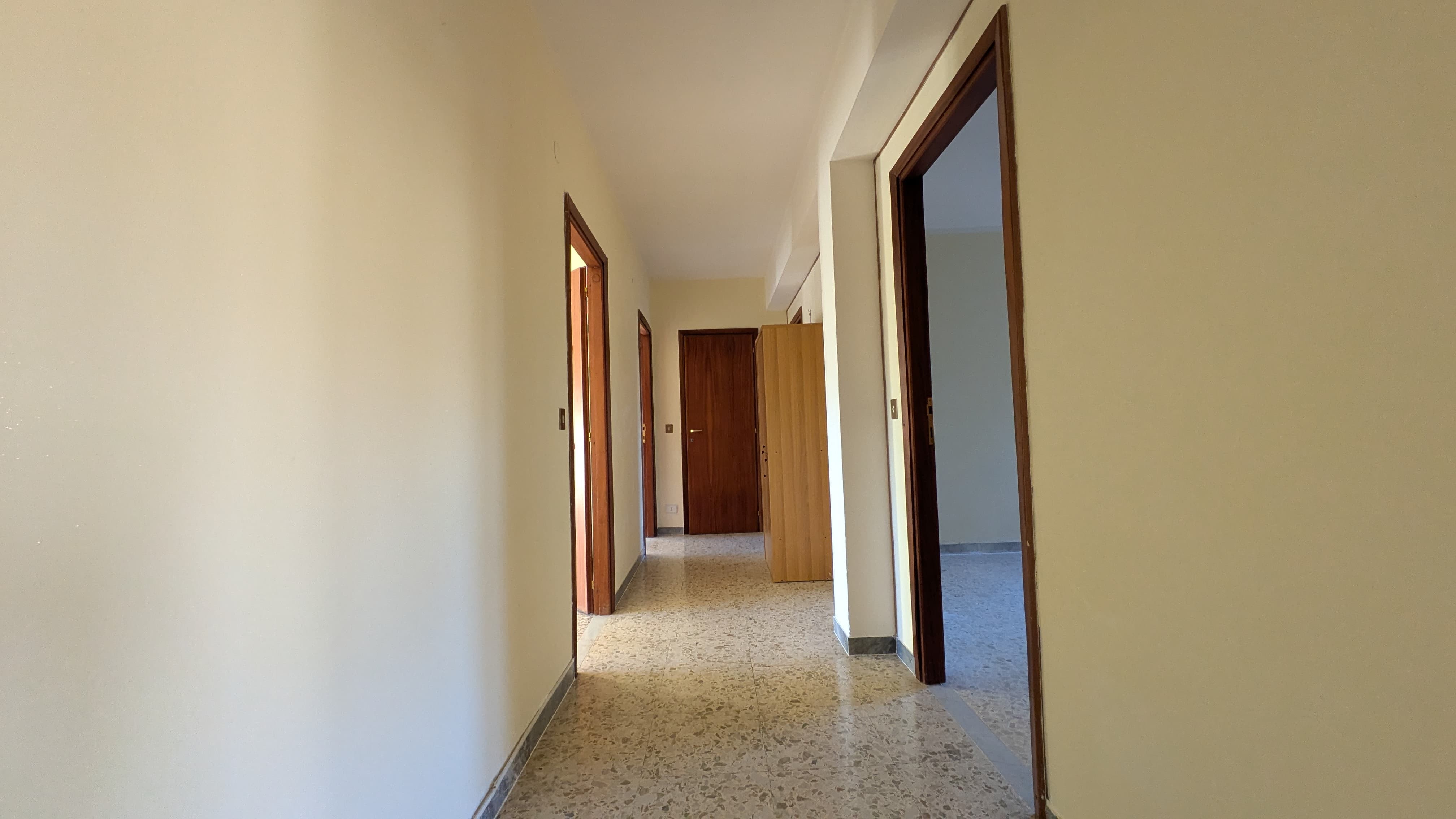 viadalighieri13paino5grande13jpg.jpg
