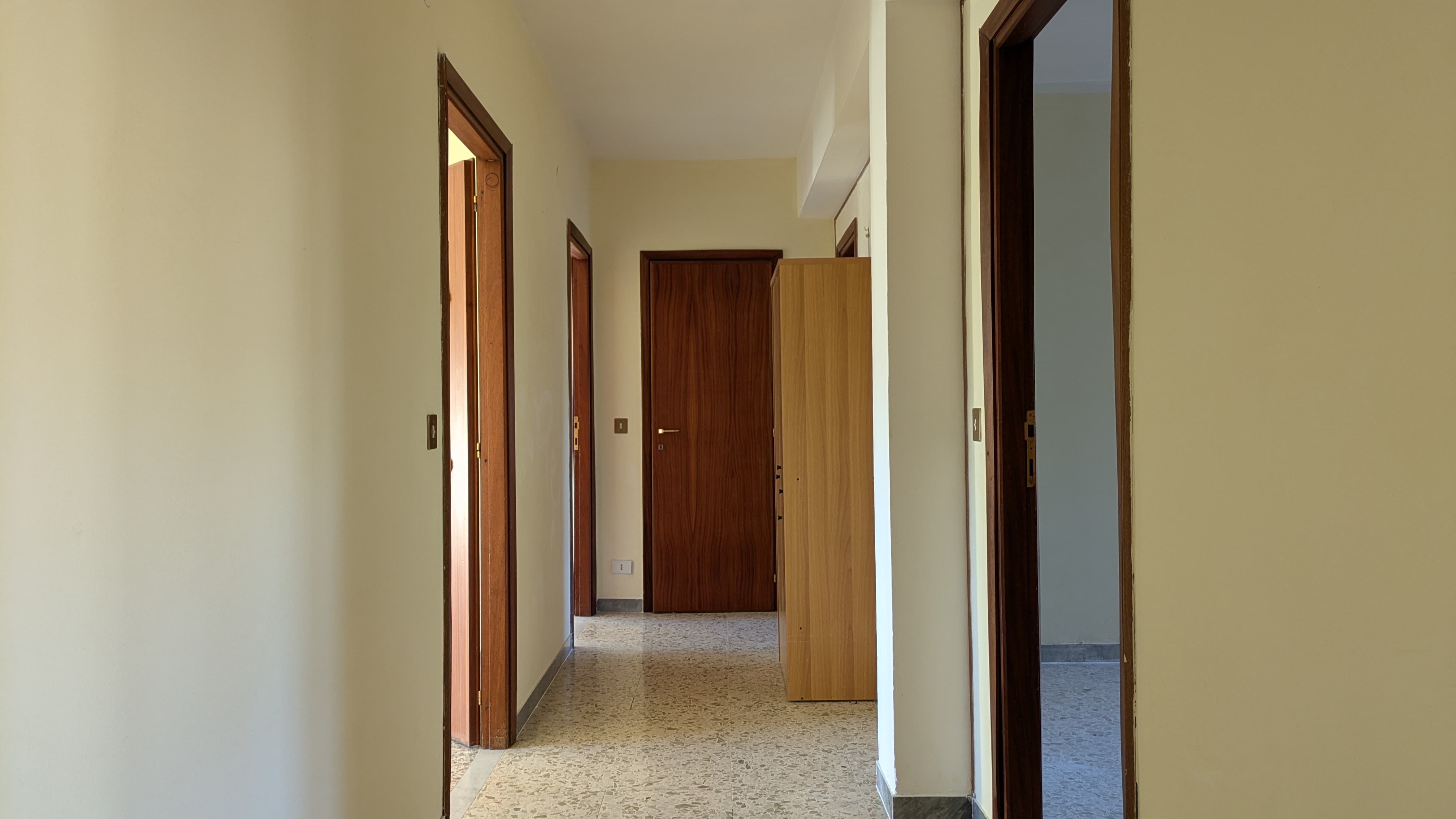 viadalighieri14paino5grande14jpg.jpg